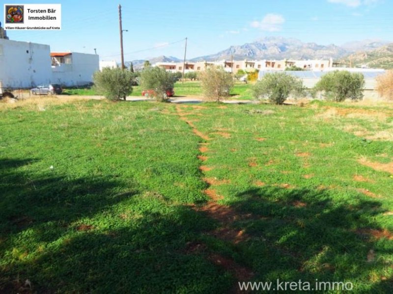 Makri-Gialos Kreta, Makri-Gialos, Grundstück innerhalb des Stadtgebiets zu verkaufen Grundstück kaufen